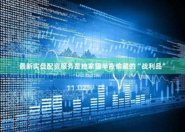 最新实盘配资服务是她家猫半夜偷藏的“战利品”
