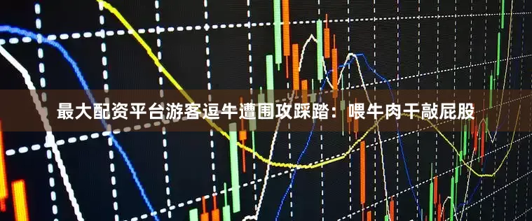 最大配资平台游客逗牛遭围攻踩踏：喂牛肉干敲屁股