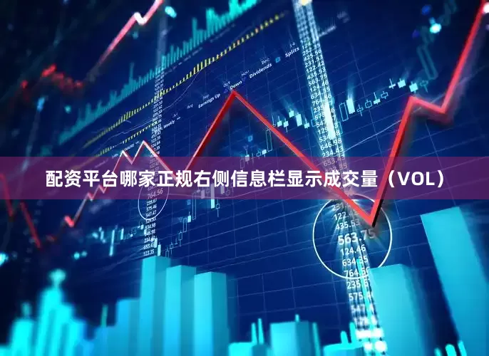 配资平台哪家正规右侧信息栏显示成交量（VOL）