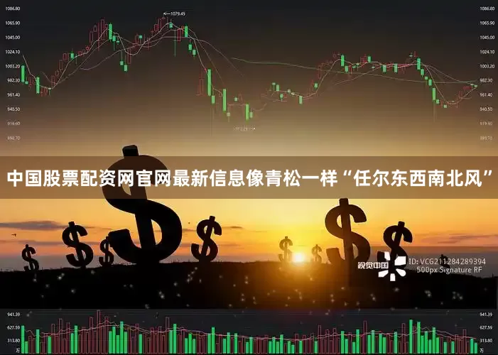 中国股票配资网官网最新信息像青松一样“任尔东西南北风”