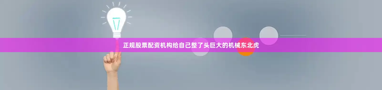 正规股票配资机构给自己整了头巨大的机械东北虎